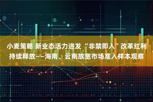 小麦策略 新业态活力迸发 “非禁即入”改革红利持续释放——海南、云南放宽市场准入样本观察