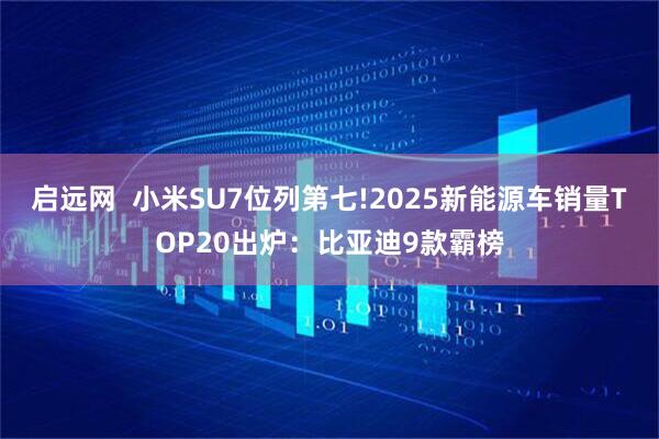启远网  小米SU7位列第七!2025新能源车销量TOP20出炉：比亚迪9款霸榜