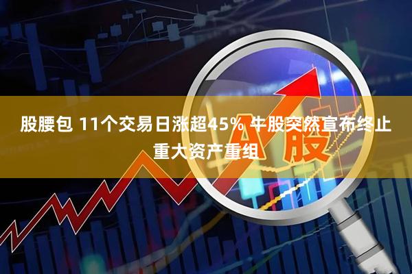 股腰包 11个交易日涨超45% 牛股突然宣布终止重大资产重组