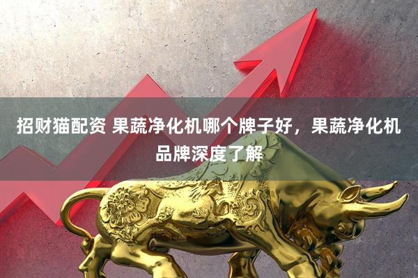 招财猫配资 果蔬净化机哪个牌子好，果蔬净化机品牌深度了解